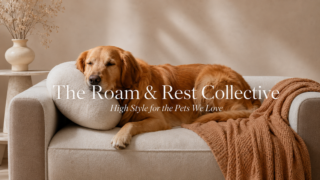 Why we started The Roam & Rest Collective