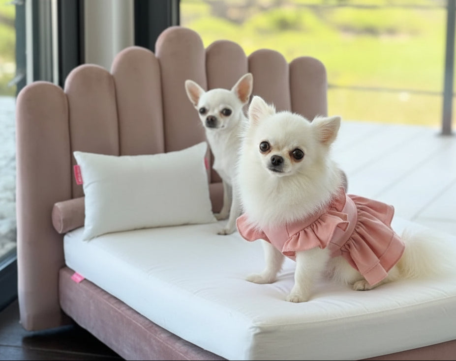 Home Comfort